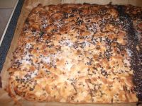 klicken Sie hier um das
Bild grösser anzuzeigen feiner_apfelkuchen003.jpg