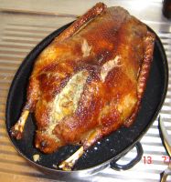 klicken Sie hier um das
Bild grösser anzuzeigen gans_feritg4.jpg