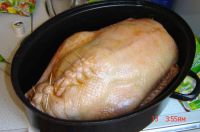 klicken Sie hier um das
Bild grösser anzuzeigen gans_fertig_zum_braten1.jpg