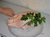 klicken Sie hier um das
Bild grösser anzuzeigen gans_gewaschen1.jpg
