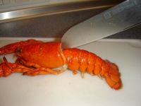 klicken Sie hier um das
Bild grösser anzuzeigen hummer_zerlegen001.jpg