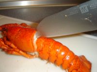 klicken Sie hier um das
Bild grösser anzuzeigen hummer_zerlegen002.jpg
