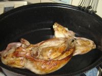 klicken Sie hier um das
Bild grösser anzuzeigen kaninchen_rotwein_0003.jpg