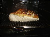 klicken Sie hier um das
Bild grösser anzuzeigen krustenbraten0003.jpg