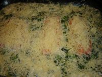 klicken Sie hier um das
Bild grösser anzuzeigen lachs_spinat_nudel_03.jpg