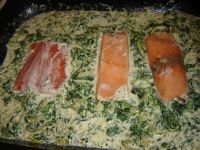 klicken Sie hier um das
Bild grösser anzuzeigen lachs_spinat_nudel_04.jpg