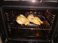 klicken Sie hier um das
Bild grösser anzuzeigen mais-poularde-oragensosse017.jpg