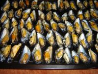 klicken Sie hier um das
Bild grösser anzuzeigen miesmuscheln_gratiniert02.jpg