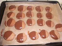 klicken Sie hier um das
Bild grösser anzuzeigen nougat_thaler_dina002.jpg