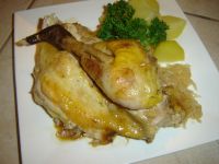 klicken Sie hier um das
Bild grösser anzuzeigen perlhuhn_koenigskraut011.jpg