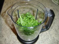 pesto_basilikum_ruccola001.jpg