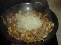 klicken Sie hier um das
Bild grösser anzuzeigen pilzpfanne_006.jpg