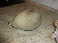 klicken Sie hier um das
Bild grösser anzuzeigen saumagen_maronen034.jpg