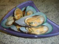 klicken Sie hier um das
Bild grösser anzuzeigen scampi_muschel_topf03.jpg