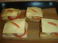 klicken Sie hier um das
Bild grösser anzuzeigen schimmel_reiter_toast002.jpg
