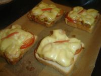 klicken Sie hier um das
Bild grösser anzuzeigen schimmel_reiter_toast003.jpg