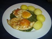 klicken Sie hier um das
Bild grösser anzuzeigen spinat-spiegelei002.jpg