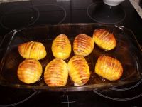 klicken Sie hier um das
Bild grösser anzuzeigen tessiner_kartoffeln004.jpg