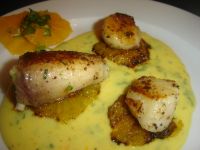 klicken Sie hier um das
Bild grösser anzuzeigen traum_tilapia_jakobsmuscheln001.jpg