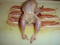 klicken Sie hier um das
Bild grösser anzuzeigen wachteln_pilzfuellung002.jpg