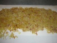klicken Sie hier um das
Bild grösser anzuzeigen zwiebelkuchen004.jpg