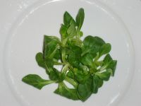 ackersalat.jpg