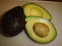 avocado001.jpg