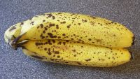 banane_ts.jpg