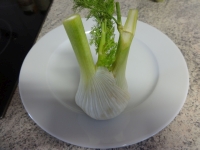 fenchel01.jpg