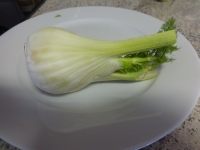 fenchel02.jpg