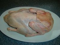 honig_ente01.jpg